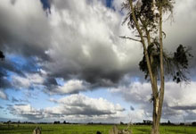 包含欧冠厄德高5小时前3跟帖3：本赛季主要目标是进入欧冠，很高兴能和迪的词条